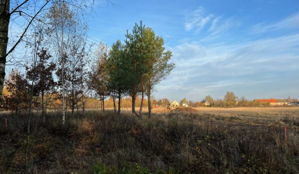 zdjęcia z terenu działek - Gałęzinowo 03.11.2022